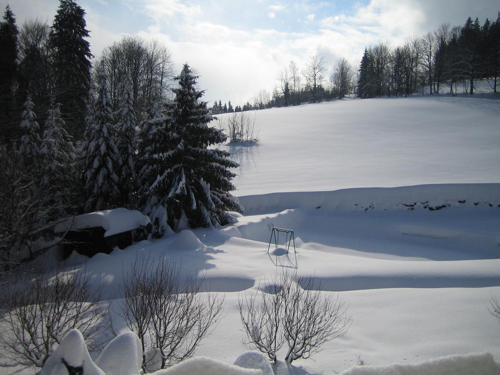Chalet Lomy Villa Nové Město nad Metují Ruang foto